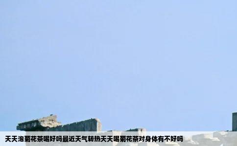 天天泡菊花茶喝好吗最近天气转热天天喝菊花茶对身体有不好吗