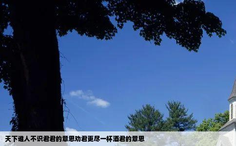 天下谁人不识君君的意思劝君更尽一杯酒君的意思