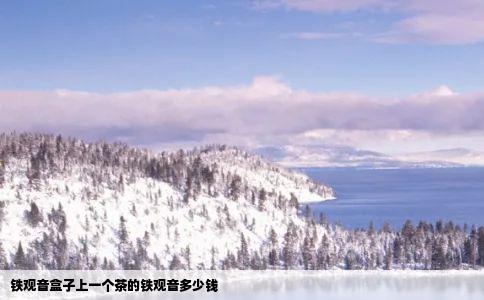 铁观音盒子上一个茶的铁观音多少钱