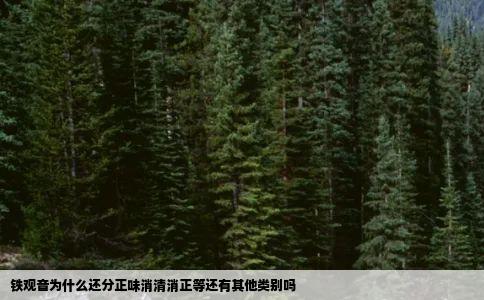 铁观音为什么还分正味消清消正等还有其他类别吗