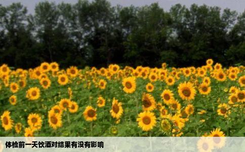 体检前一天饮酒对结果有没有影响