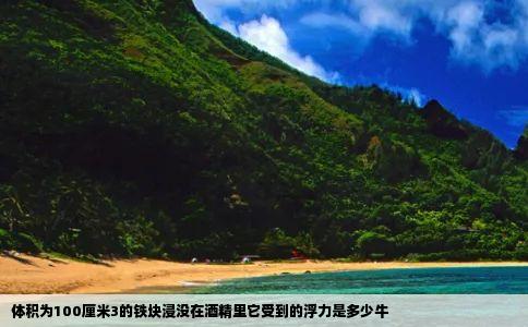 体积为100厘米3的铁块浸没在酒精里它受到的浮力是多少牛