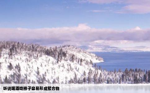 听说喝酒吃柿子容易形成聚合物