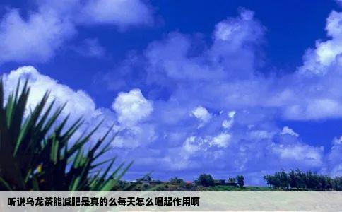 听说乌龙茶能减肥是真的么每天怎么喝起作用啊