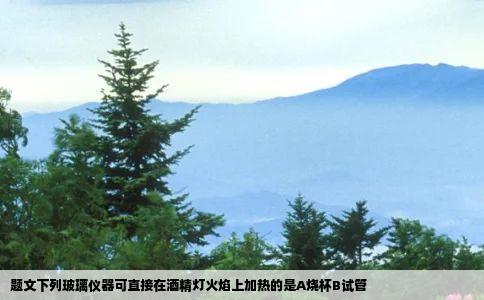 题文下列玻璃仪器可直接在酒精灯火焰上加热的是A烧杯B试管