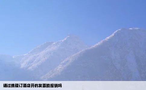 通过携程订酒店开的发票能报销吗