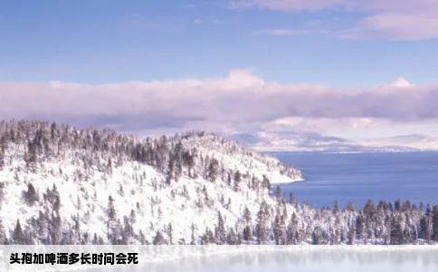 头孢加啤酒多长时间会死