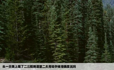 头一天晚上喝了二三瓶啤酒第二天用验孕棒准确度高吗