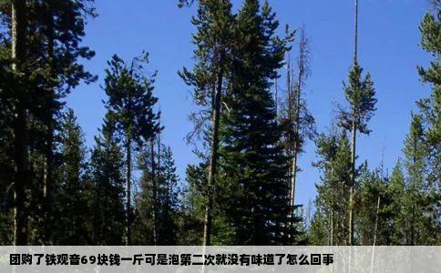 团购了铁观音69块钱一斤可是泡第二次就没有味道了怎么回事