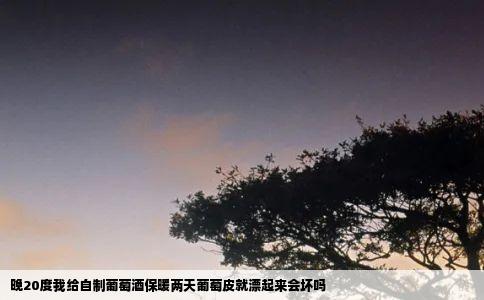 晚20度我给自制葡萄酒保暖两天葡萄皮就漂起来会坏吗