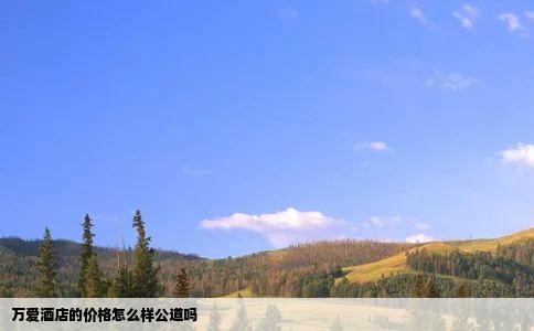 万爱酒店的价格怎么样公道吗