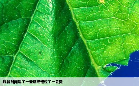 晚餐时间喝了一些酒晚饭过了一会突
