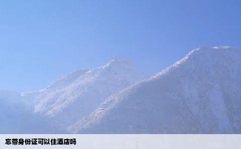 忘带身份证可以住酒店吗