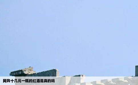 网购十几元一瓶的红酒是真的吗