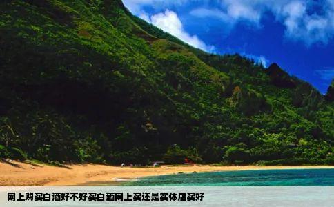 网上购买白酒好不好买白酒网上买还是实体店买好