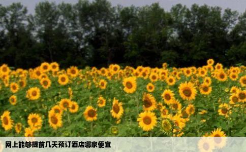 网上能够提前几天预订酒店哪家便宜