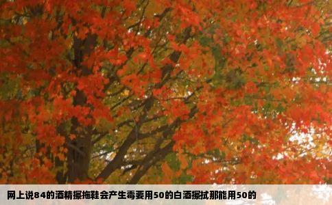 网上说84的酒精擦拖鞋会产生毒要用50的白酒擦拭那能用50的