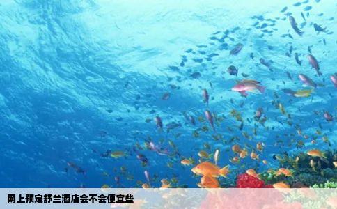 网上预定舒兰酒店会不会便宜些