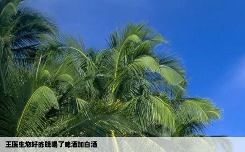 王医生您好昨晚喝了啤酒加白酒