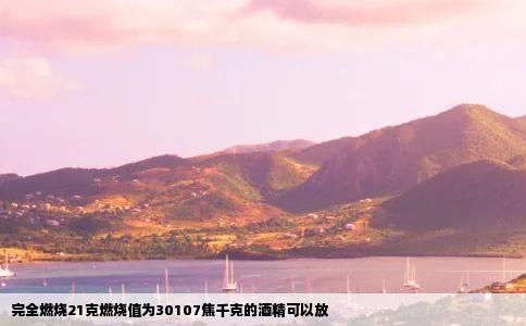 完全燃烧21克燃烧值为30107焦千克的酒精可以放