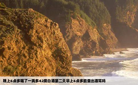 晚上6点多喝了一两多42度白酒第二天早上6点多能查出酒驾吗