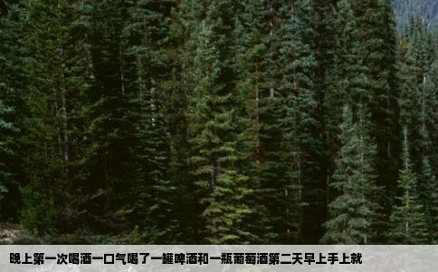 晚上第一次喝酒一口气喝了一罐啤酒和一瓶葡萄酒第二天早上手上就