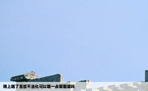 晚上喝了豆浆不消化可以喝一点葡萄酒吗