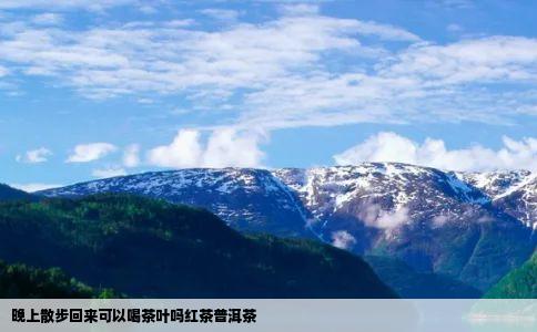 晚上散步回来可以喝茶叶吗红茶普洱茶