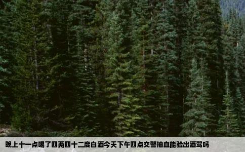 晚上十一点喝了四两四十二度白酒今天下午四点交警抽血能验出酒驾吗