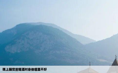 晚上睡觉前喝酒对身体哪里不好