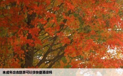 未成年出去旅游可以住快捷酒店吗