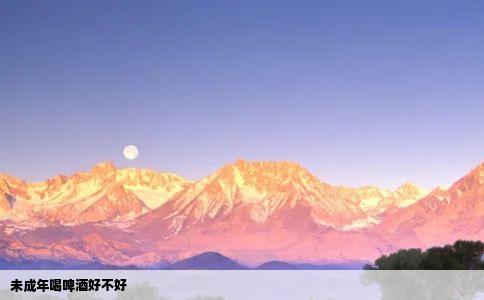 未成年喝啤酒好不好