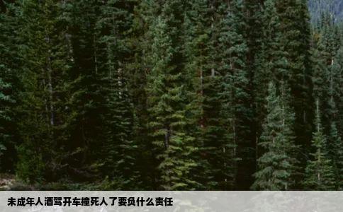 未成年人酒驾开车撞死人了要负什么责任