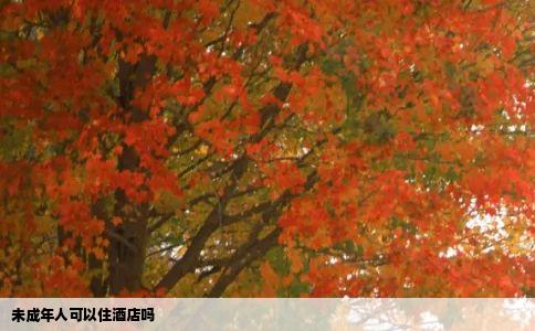 未成年人可以住酒店吗