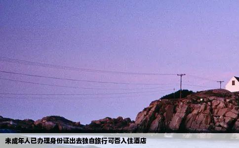 未成年人已办理身份证出去独自旅行可否入住酒店