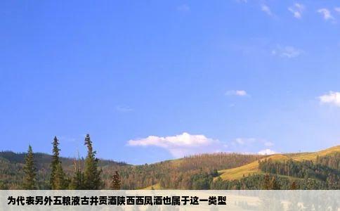 为代表另外五粮液古井贡酒陕西西凤酒也属于这一类型