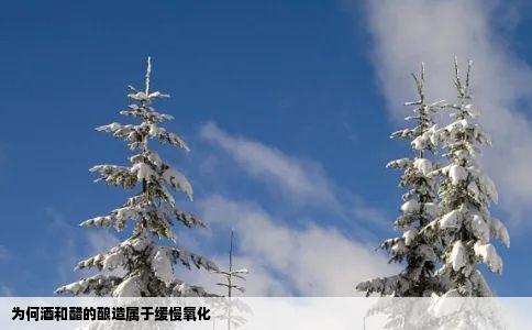 为何酒和醋的酿造属于缓慢氧化