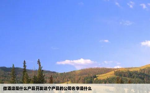 微酒店是什么产品开发这个产品的公司名字是什么