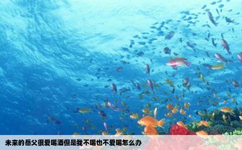 未来的岳父很爱喝酒但是我不喝也不爱喝怎么办