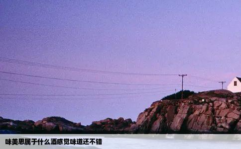 味美思属于什么酒感觉味道还不错