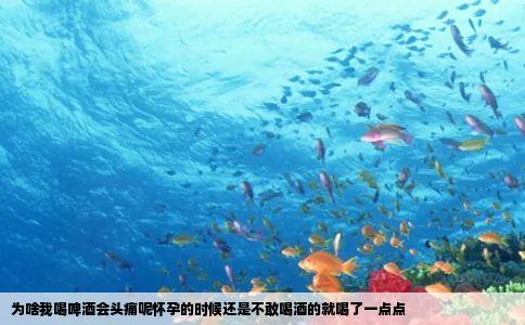 为啥我喝啤酒会头痛呢怀孕的时候还是不敢喝酒的就喝了一点点