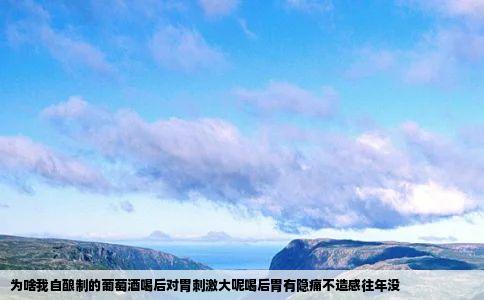 为啥我自酿制的葡萄酒喝后对胃刺激大呢喝后胃有隐痛不造感往年没