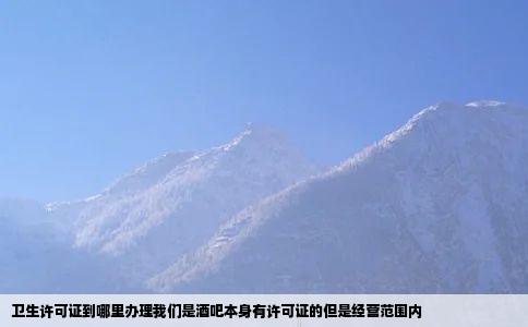 卫生许可证到哪里办理我们是酒吧本身有许可证的但是经营范围内