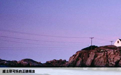 威士忌可乐的正确喝法