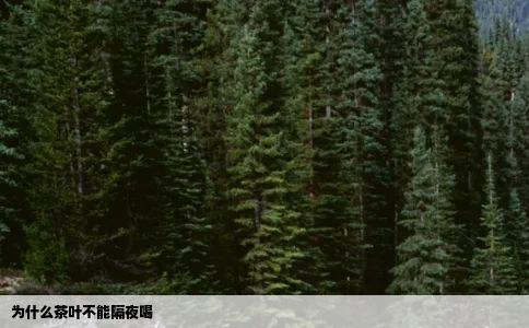 为什么茶叶不能隔夜喝