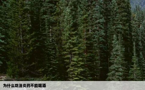 为什么吃消炎药不能喝酒