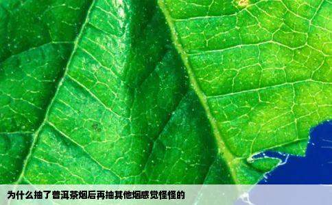 为什么抽了普洱茶烟后再抽其他烟感觉怪怪的