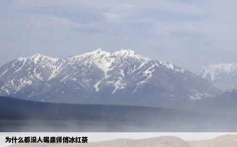 为什么都没人喝康师傅冰红茶