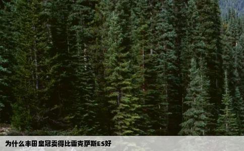 为什么丰田皇冠卖得比雷克萨斯ES好