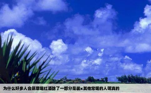 为什么好多人会愿意喝红酒除了一部分是装x其他常喝的人呢真的